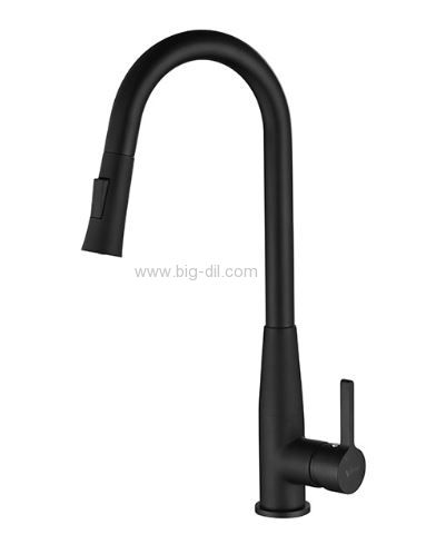 ברז נשלף 2 מצבי זרימה שחור מט ולרמו 1224 ברז נשלף 2 מצבי זרימה שחור מט ולרמו 1224