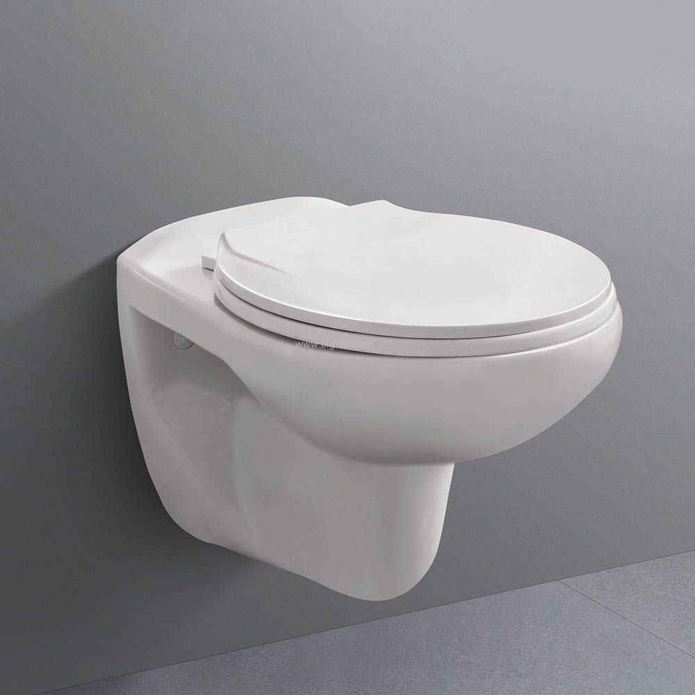 ���� ����� �����