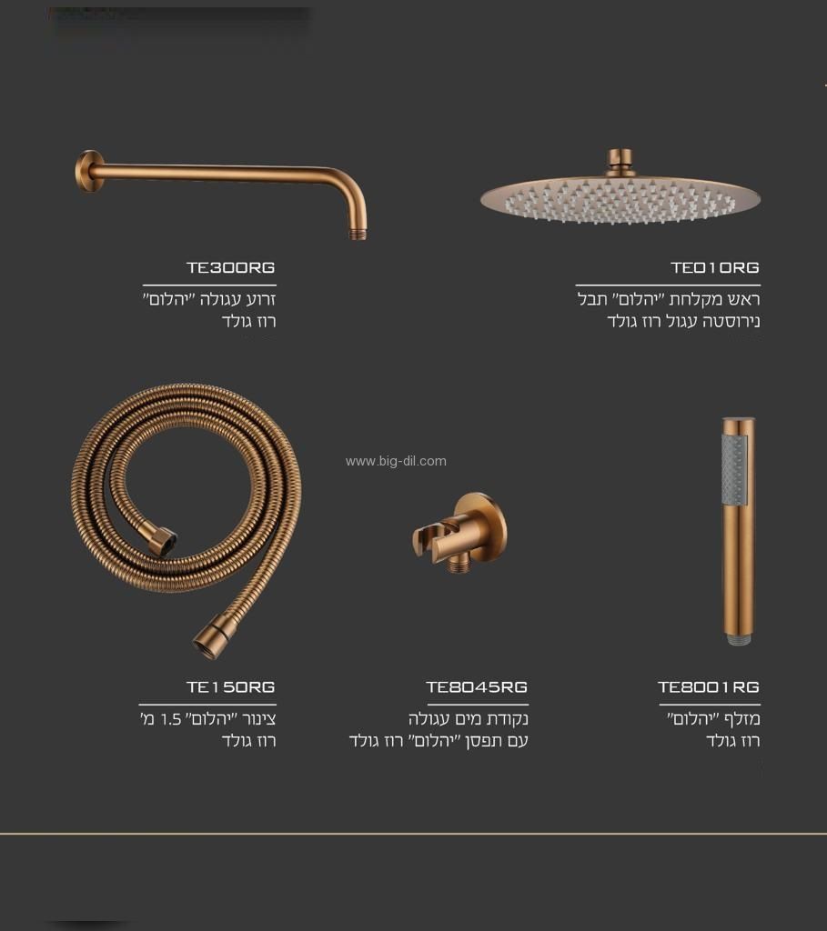 �� ���� 5 ����� ��� ����