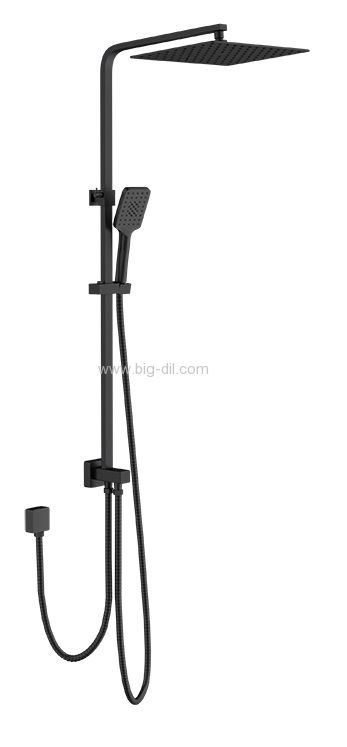 ��� ����� ����� ROXY ����