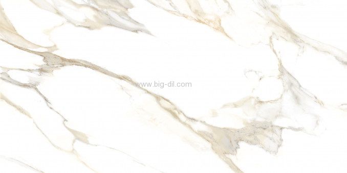 ����� ������ 60*120 ������ ���� �����-����