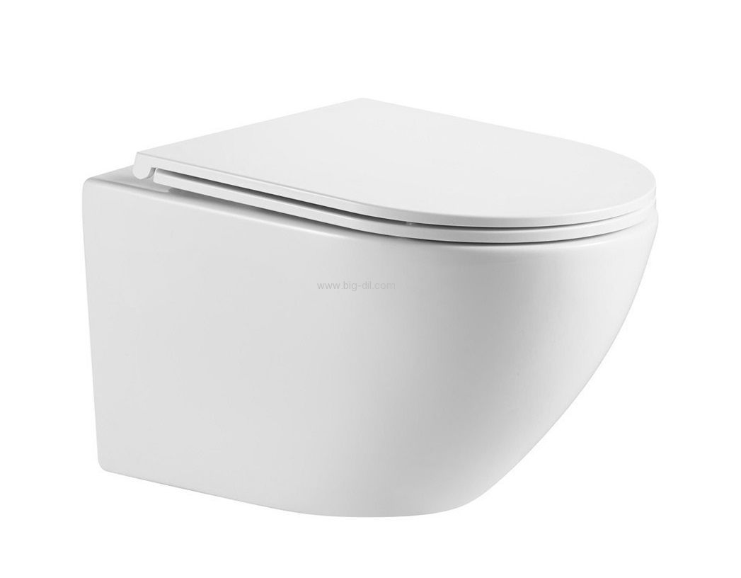 ���� ����� ��'��  ������ 53 �"�