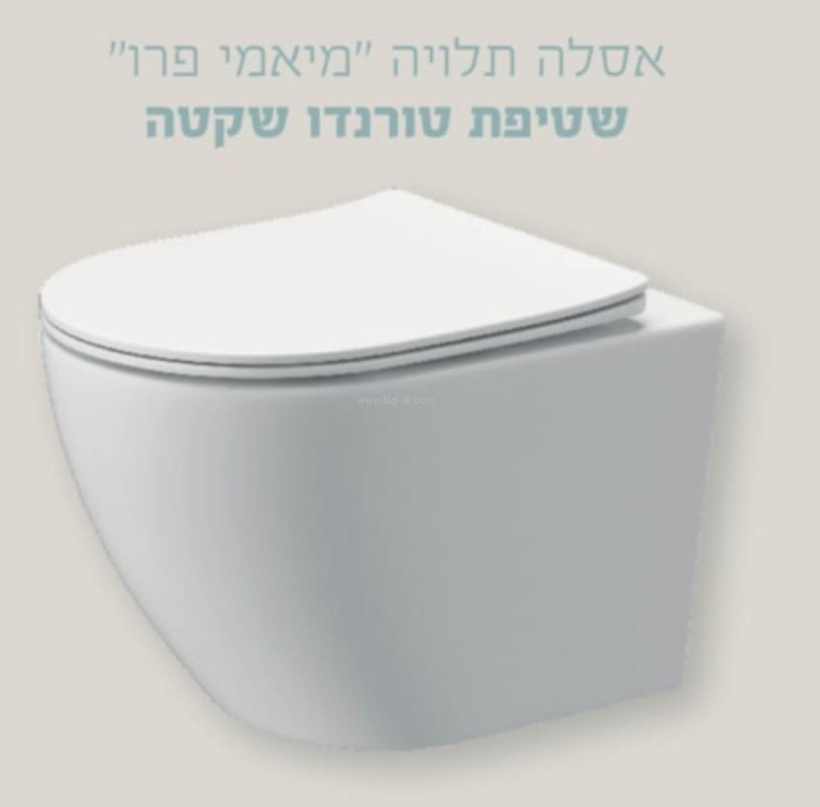 ���� ����� ����� ��� ������