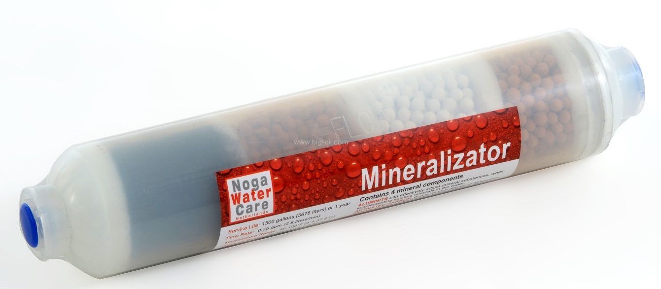 ���������� ����  �����  