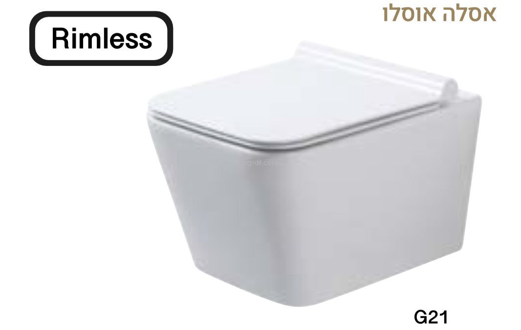 ���� ����� ����� ����� 