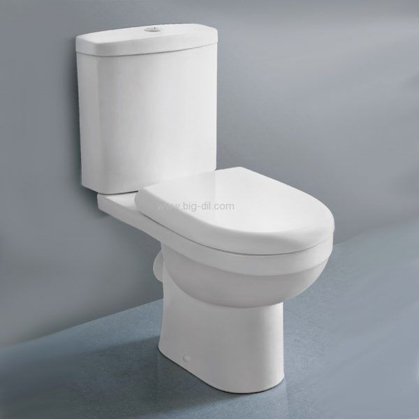 ���� �������� �����