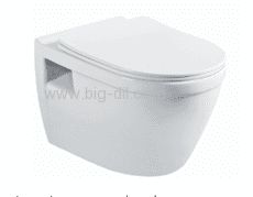 ���� ����� ����  