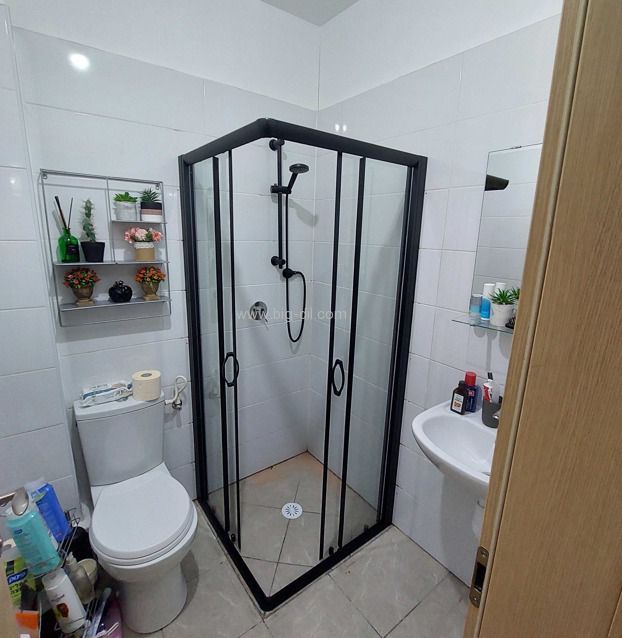 ������ ����� ��  ���� ����