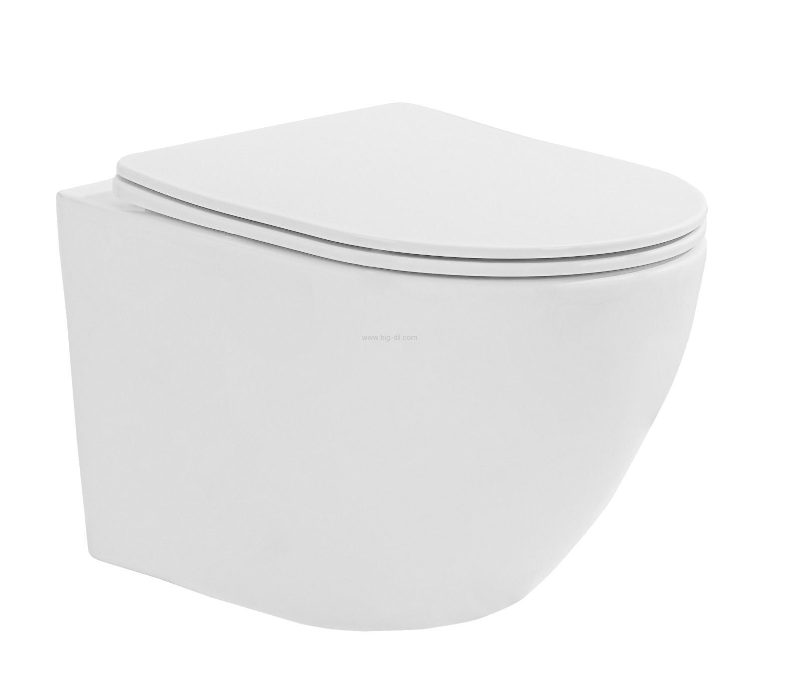 ���� ����� ���� ����� 