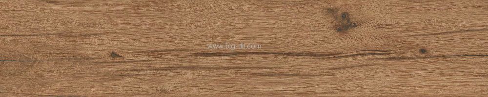 ����� ������ ���� ���� NATIVE GINGER 20*100-����� ����