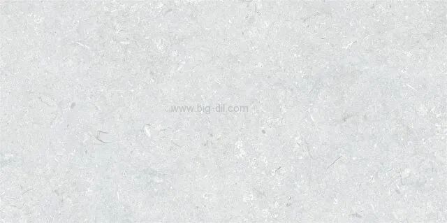 גרניט פורצלן דמוי פרקט LIGHT STONE FOSSIL L.GREY 60*120-תוצרת ויטרה - תצוגה נוספת