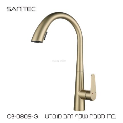 ברז נשלף OB0809-G זהב מוברש